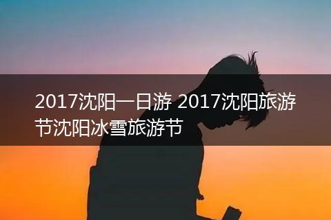 2017沈阳一日游 2017沈阳旅游节沈阳冰雪旅游节