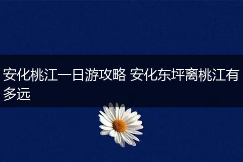 安化桃江一日游攻略 安化东坪离桃江有多远