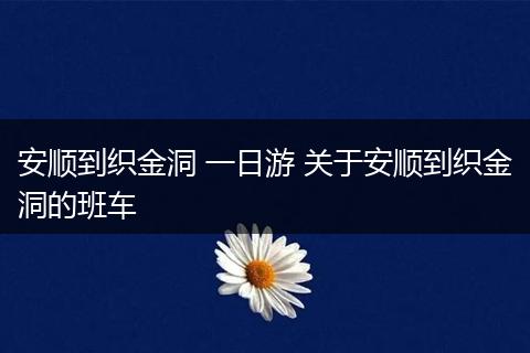 安顺到织金洞 一日游 关于安顺到织金洞的班车