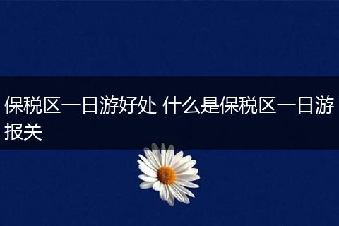 保税区一日游好处 什么是保税区一日游报关