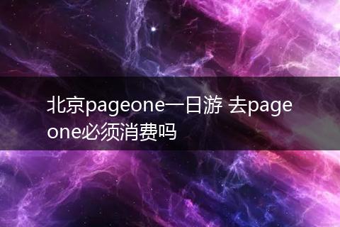 北京pageone一日游 去pageone必须消费吗