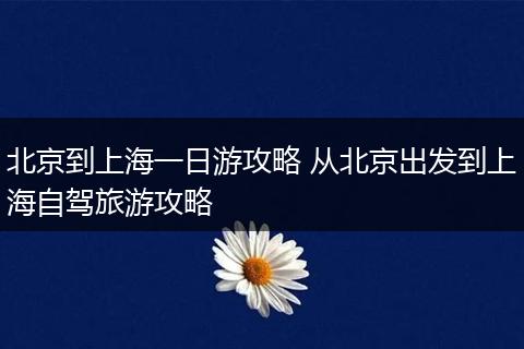 北京到上海一日游攻略 从北京出发到上海自驾旅游攻略