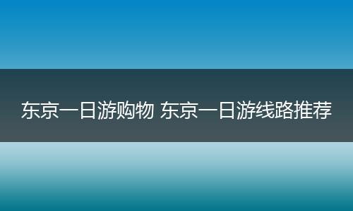 东京一日游购物 东京一日游线路推荐