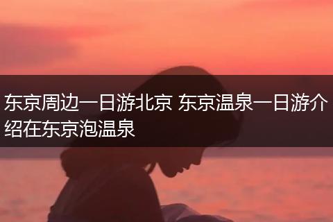 东京周边一日游北京 东京温泉一日游介绍在东京泡温泉