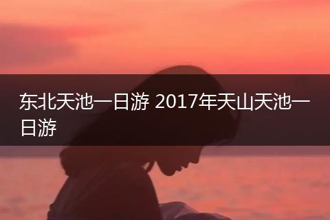 东北天池一日游 2017年天山天池一日游