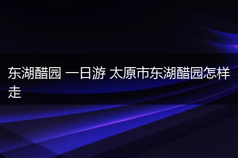 东湖醋园 一日游 太原市东湖醋园怎样走