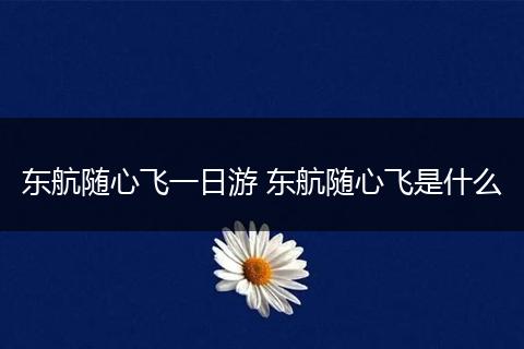 东航随心飞一日游 东航随心飞是什么