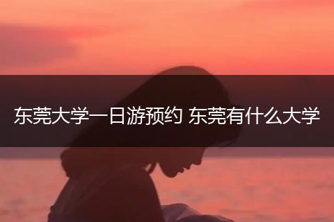 东莞大学一日游预约 东莞有什么大学