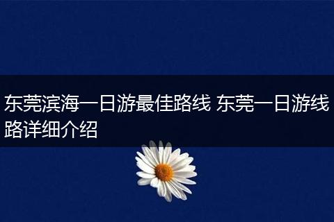 东莞滨海一日游最佳路线 东莞一日游线路详细介绍