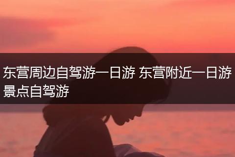 东营周边自驾游一日游 东营附近一日游景点自驾游