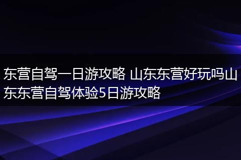 东营自驾一日游攻略 山东东营好玩吗山东东营自驾体验5日游攻略