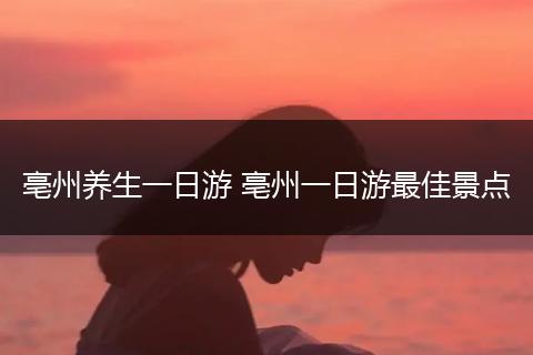 亳州养生一日游 亳州一日游最佳景点