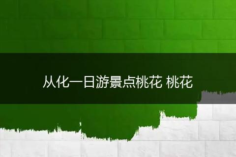 从化一日游景点桃花 桃花