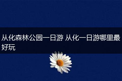 从化森林公园一日游 从化一日游哪里最好玩