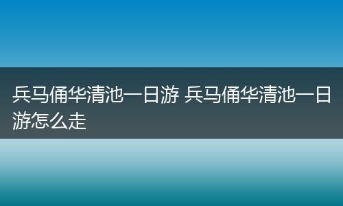 兵马俑华清池一日游 兵马俑华清池一日游怎么走