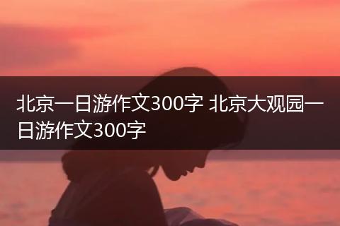 北京一日游作文300字 北京大观园一日游作文300字