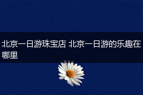 北京一日游珠宝店 北京一日游的乐趣在哪里