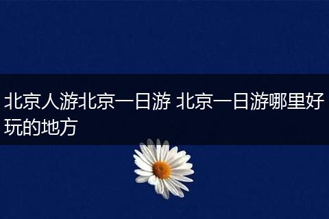 北京人游北京一日游 北京一日游哪里好玩的地方