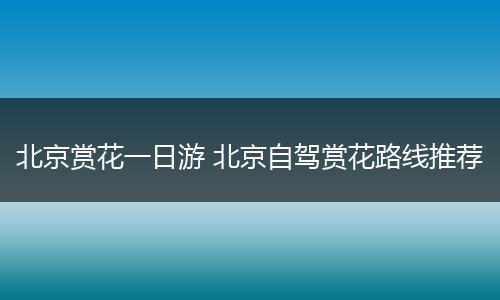 北京赏花一日游 北京自驾赏花路线推荐