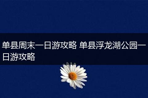 单县周末一日游攻略 单县浮龙湖公园一日游攻略