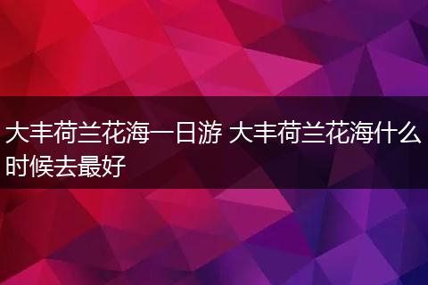 大丰荷兰花海一日游 大丰荷兰花海什么时候去最好