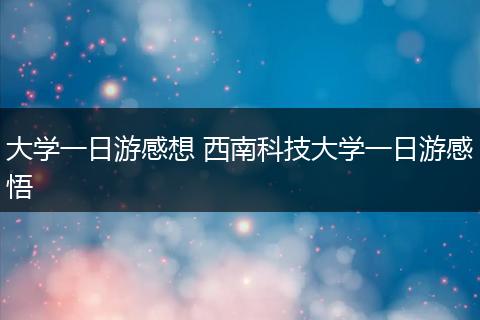 大学一日游感想 西南科技大学一日游感悟
