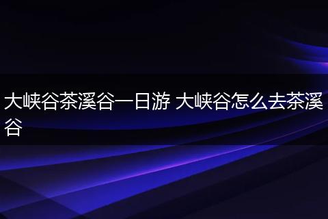 大峡谷茶溪谷一日游 大峡谷怎么去茶溪谷