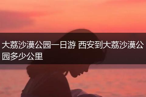 大荔沙漠公园一日游 西安到大荔沙漠公园多少公里