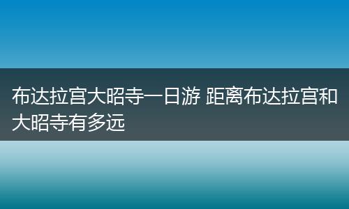 布达拉宫大昭寺一日游 距离布达拉宫和大昭寺有多远