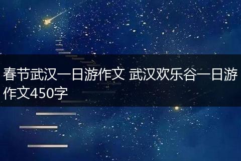 春节武汉一日游作文 武汉欢乐谷一日游作文450字