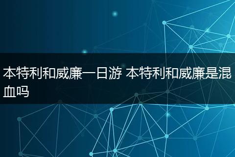 本特利和威廉一日游 本特利和威廉是混血吗
