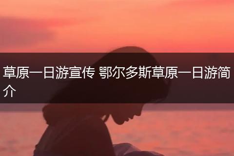 草原一日游宣传 鄂尔多斯草原一日游简介