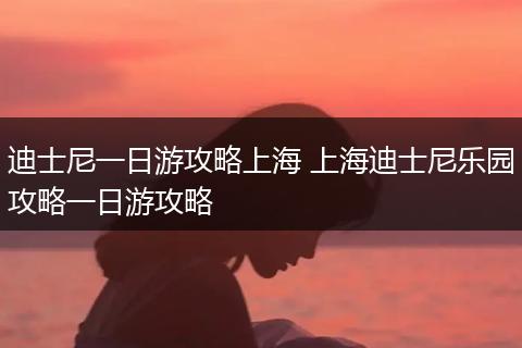 迪士尼一日游攻略上海 上海迪士尼乐园攻略一日游攻略