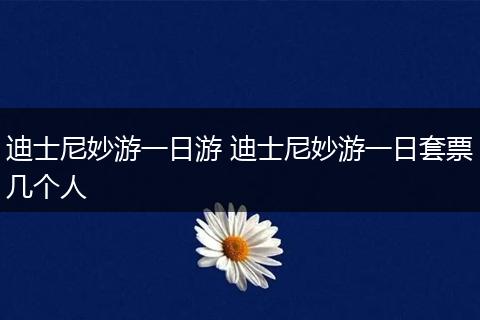 迪士尼妙游一日游 迪士尼妙游一日套票几个人