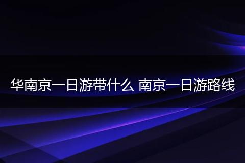 华南京一日游带什么 南京一日游路线