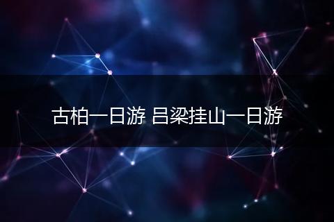 古柏一日游 吕梁挂山一日游