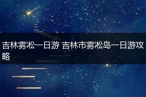 吉林雾凇一日游 吉林市雾凇岛一日游攻略