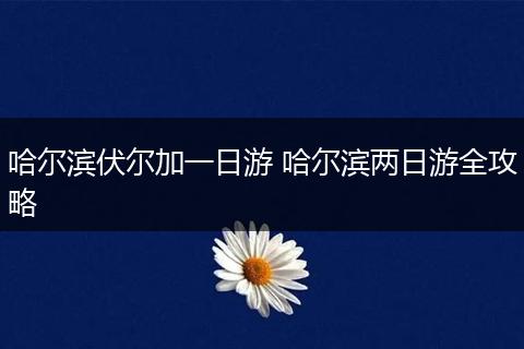 哈尔滨伏尔加一日游 哈尔滨两日游全攻略