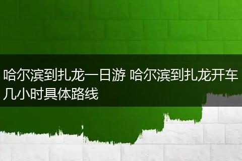 哈尔滨到扎龙一日游 哈尔滨到扎龙开车几小时具体路线