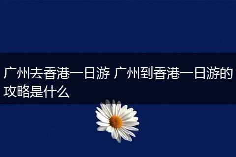 广州去香港一日游 广州到香港一日游的攻略是什么