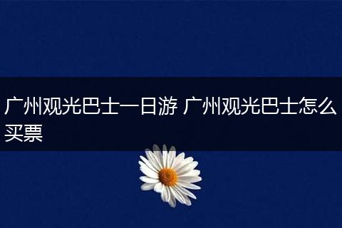 广州观光巴士一日游 广州观光巴士怎么买票