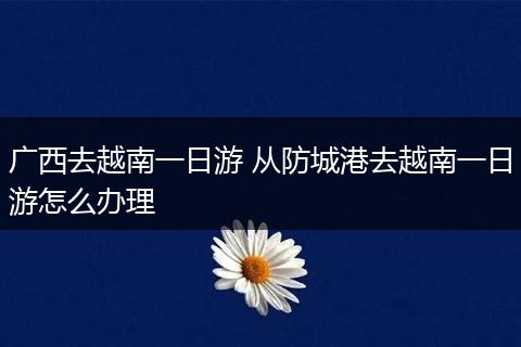广西去越南一日游 从防城港去越南一日游怎么办理