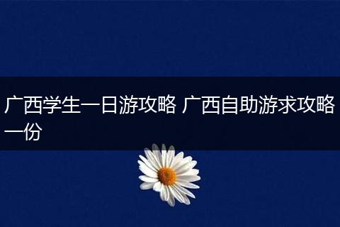 广西学生一日游攻略 广西自助游求攻略一份