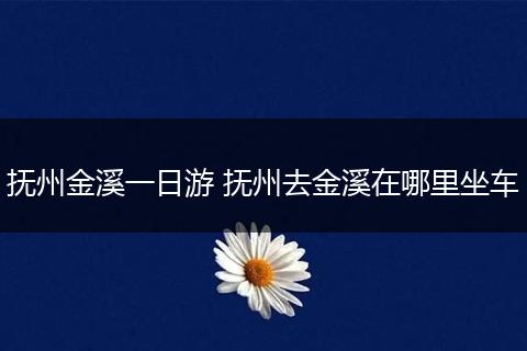 抚州金溪一日游 抚州去金溪在哪里坐车