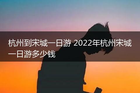 杭州到宋城一日游 2022年杭州宋城一日游多少钱