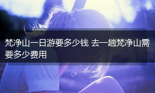 梵净山一日游要多少钱 去一趟梵净山需要多少费用