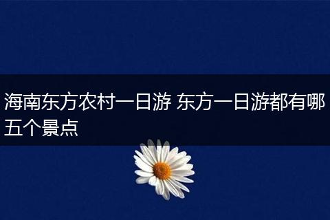 海南东方农村一日游 东方一日游都有哪五个景点