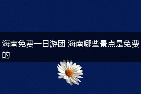 海南免费一日游团 海南哪些景点是免费的