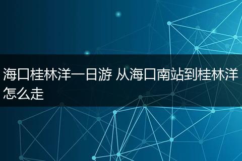 海口桂林洋一日游 从海口南站到桂林洋怎么走