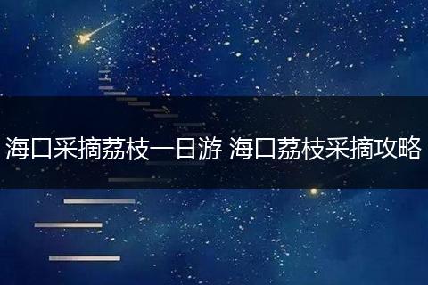 海口采摘荔枝一日游 海口荔枝采摘攻略